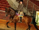2016rob hess 1130 101
