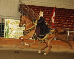 2016rob hess 1130 170