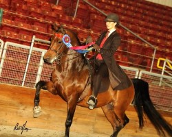 2016rob hess 1130 171