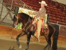 2016rob hess 1130 188