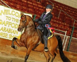 2016rob hess 1130 202