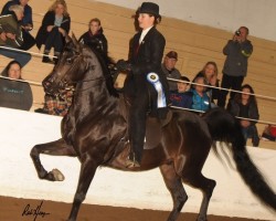 2018 daha spring show 1149 115