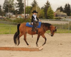 2018 daha spring show 1149 143