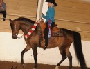 2018 daha spring show 1149 173