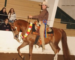 2018 daha spring show 1149 193