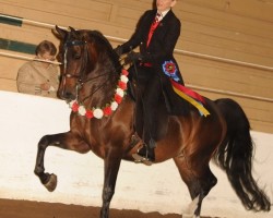 2018 daha spring show 1149 200