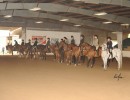 2018 daha spring show 1149 misc