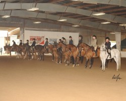 2018 daha spring show 1149 misc